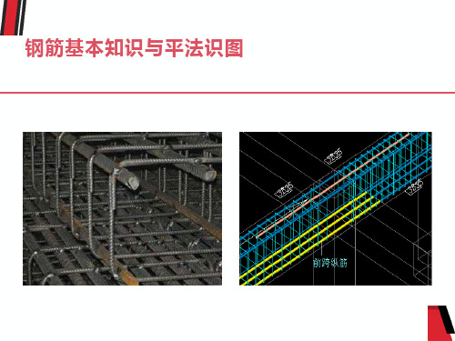 钢筋基本知识与平法识图讲解