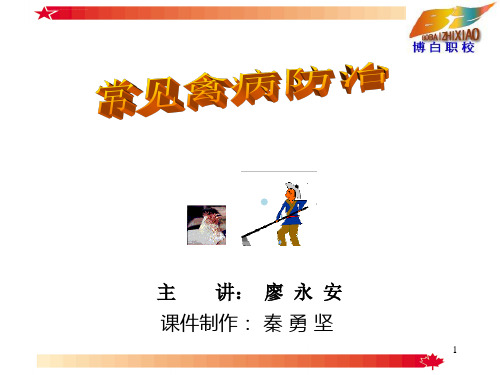 常见禽病防治123课件