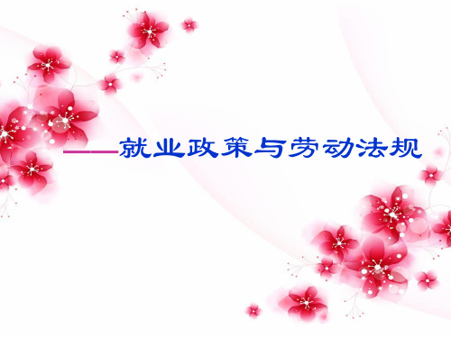 就业政策与劳动法规解析精品PPT课件