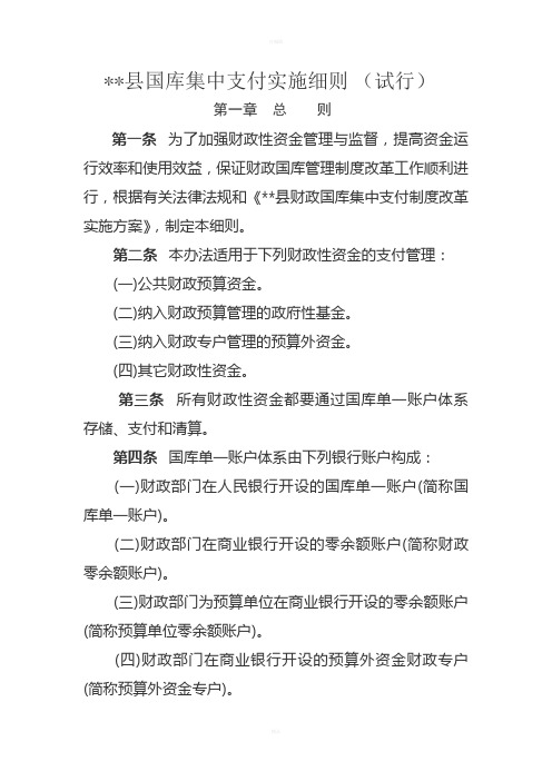 国库集中支付实施细则