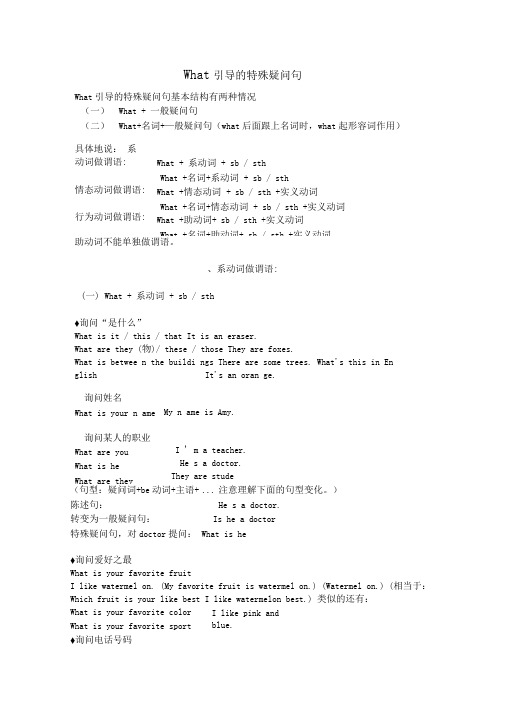 What引导的特殊疑问句
