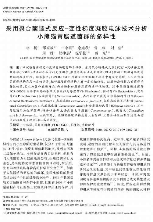 采用聚合酶链式反应-变性梯度凝胶电泳技术分析小熊猫胃肠道菌群的多样性