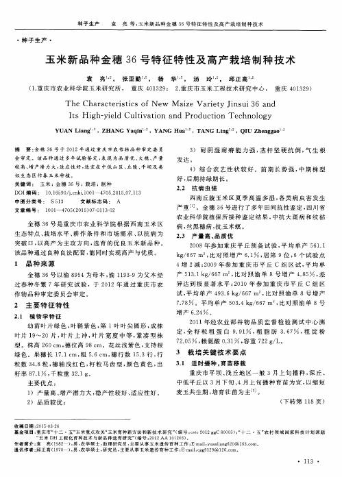 玉米新品种金穗36号特征特性及高产栽培制种技术