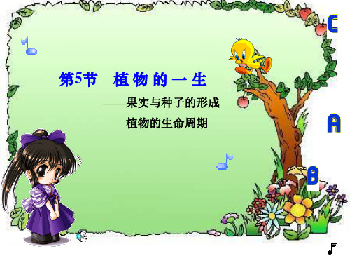 三年级下科学课件植物的一生8_苏教版