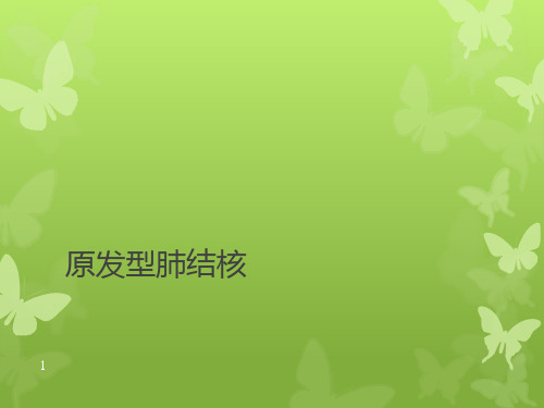 原发性肺结核PPT课件