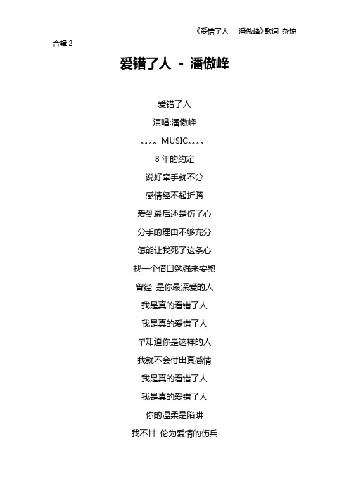 《爱错了人 - 潘傲峰》歌词 杂锦合辑2