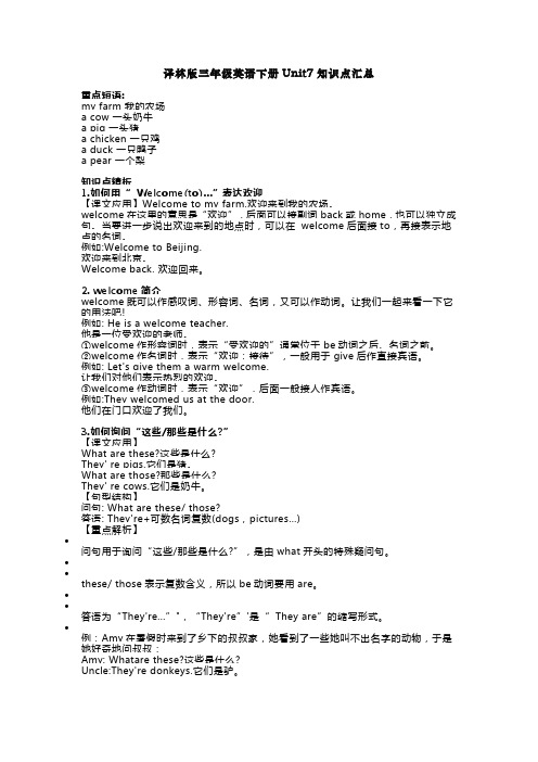 译林版三年级英语下册Unit7知识点汇总