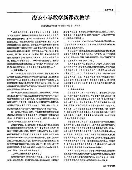 浅谈小学数学新课改教学