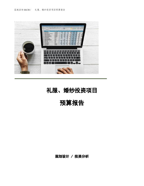 礼服、婚纱投资项目预算报告
