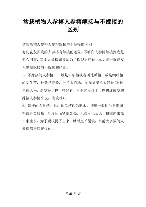 盆栽植物人参榕人参榕嫁接与不嫁接的区别