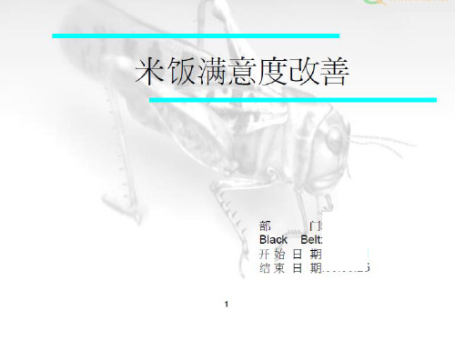 六西格玛经典案例(怎样煮米饭)(PPT33页)