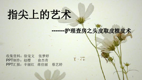 取皮植皮PPT参考课件
