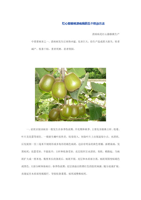 红心猕猴桃溃疡病的五个防治方法