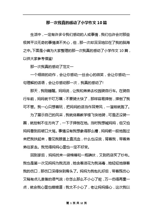 那一次我真的感动了小学作文10篇