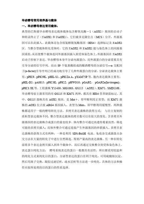 毕赤酵母常用表达载体