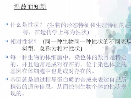 北京课改版生物-八年级上册-11.2  生物的性状遗传 课件