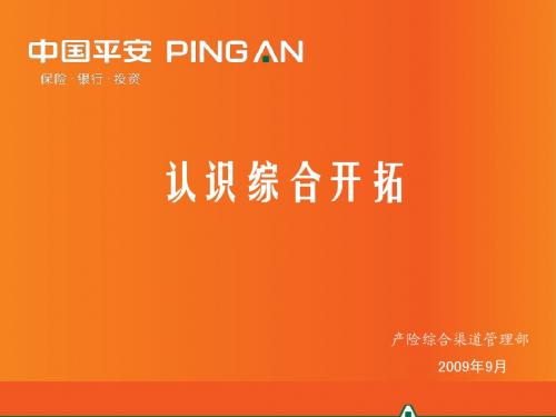 认识综合开拓