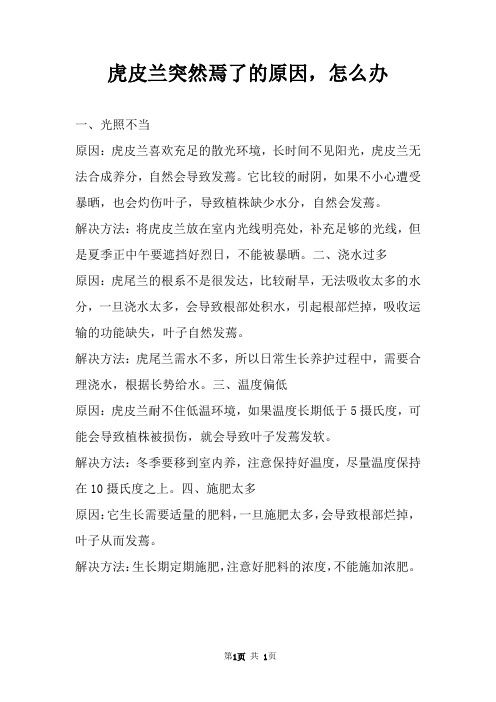 虎皮兰突然焉了的原因,怎么办 
