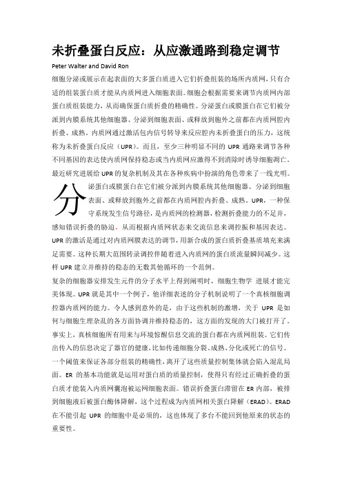 未折叠蛋白反应 (3)
