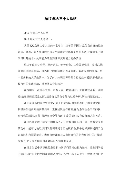 2017年大三个人总结