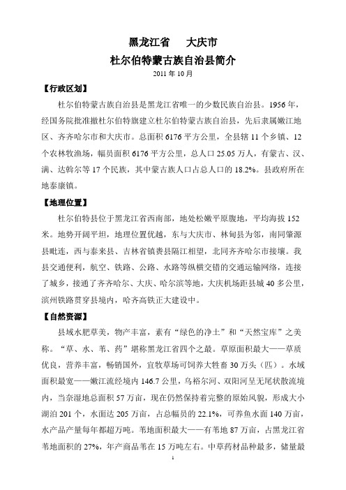 黑龙江省大庆市杜尔伯特蒙古族自治县简介