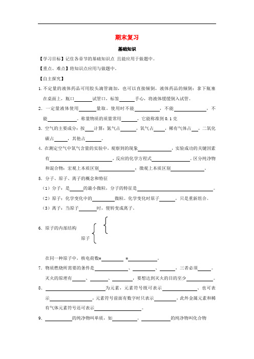 九年级化学上册期末复习基础知识精品 精品学案(新版)粤教版