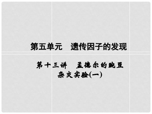 高考生物一轮复习 第5单元 第13讲 孟德尔的豌豆杂交实验(一)课件