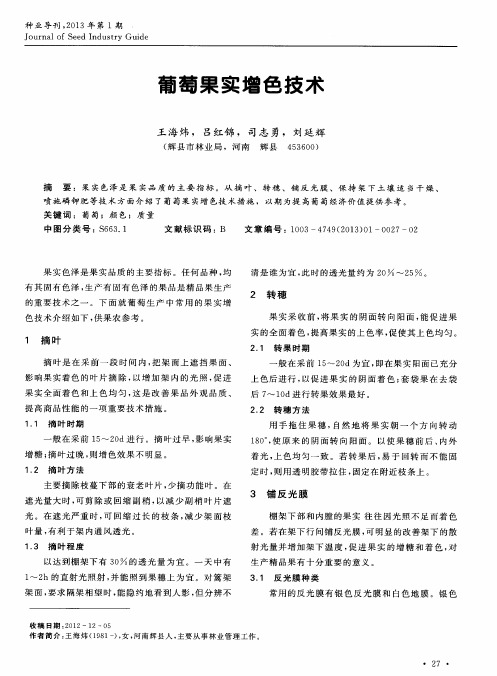葡萄果实增色技术
