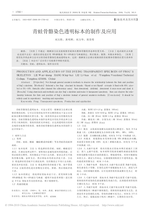 青蛙骨骼染色透明标本的制作及应用