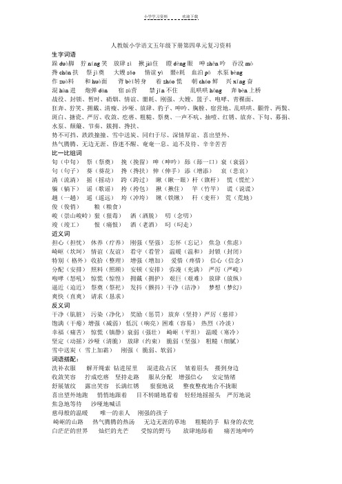 人教版小学语文五年级下册第四单元复习资料word