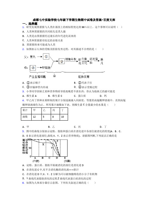 成都七中实验学校七年级下学期生物期中试卷及答案-百度文库