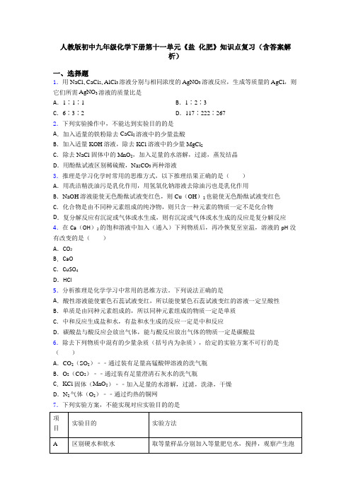 人教版初中九年级化学下册第十一单元《盐 化肥》知识点复习(含答案解析)