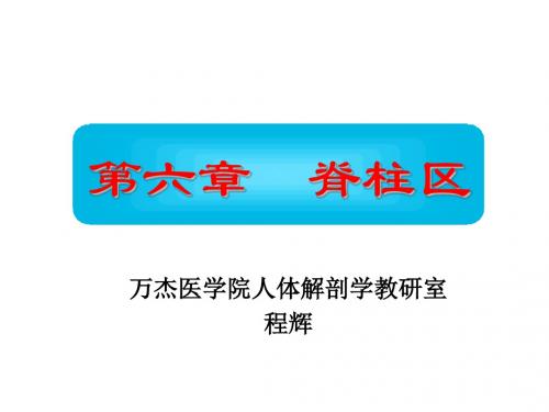 《脊柱图册》ppt课件