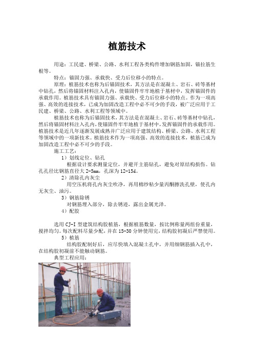 植筋技术