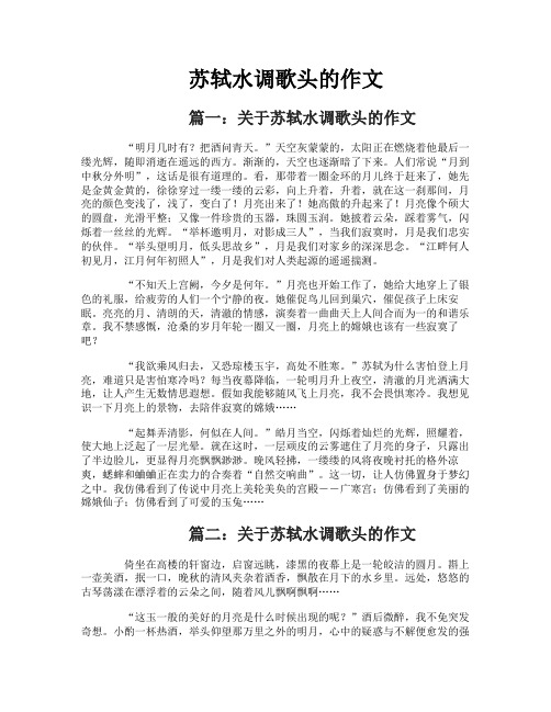 苏轼水调歌头的作文