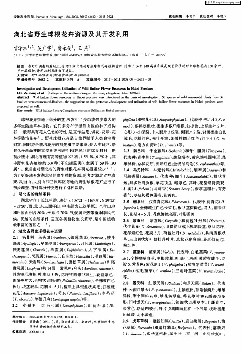 湖北省野生球根花卉资源及其开发利用