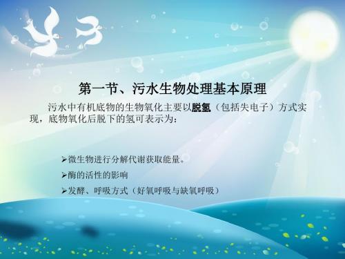 生化反应动力学课件