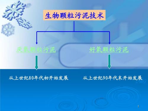 颗粒污泥