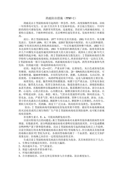鸽瘟防治措施(PPMV-I)