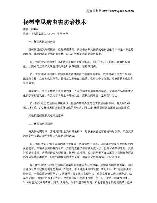 杨树常见病虫害防治技术