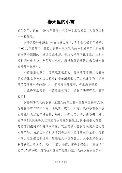 春天里的小苗_三年级作文
