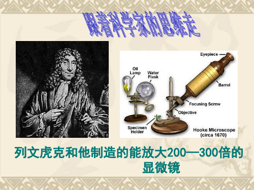初中生物人教版八年级上册第二节 细菌