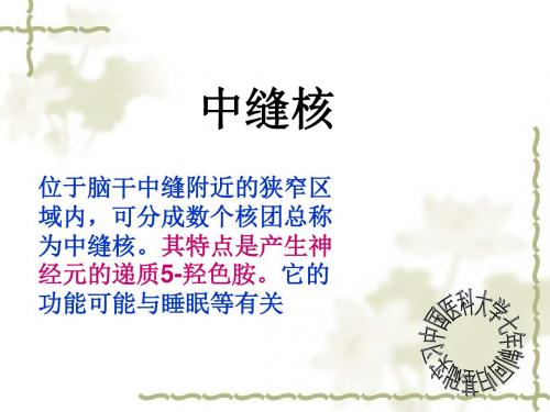 位于脑干中缝附近的狭窄区域内,可分成数个核团总称为中缝核.