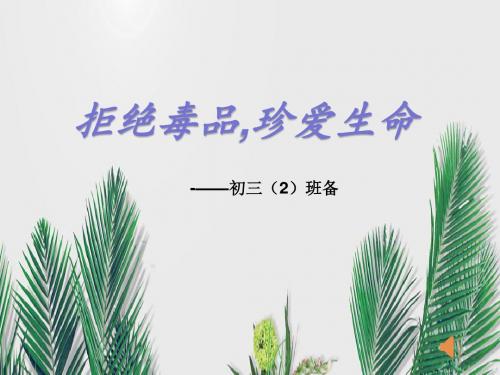 拒绝毒品