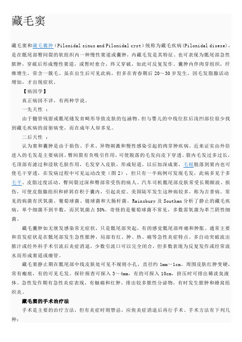 藏毛窦超声诊断