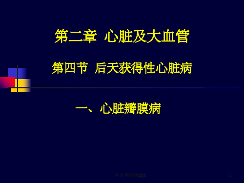 瓣膜病超声
