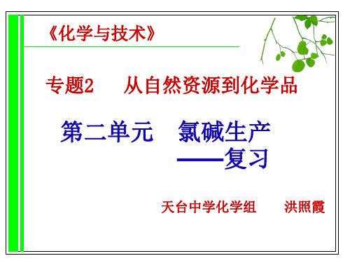 氯碱生产ppt-PowerPointPresentat