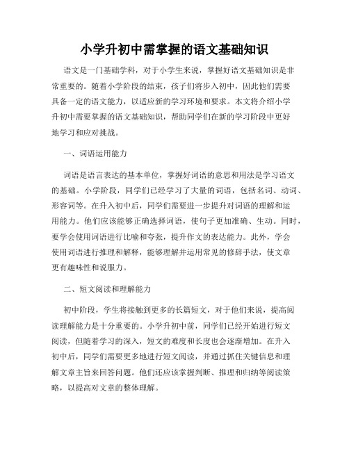 小学升初中需掌握的语文基础知识