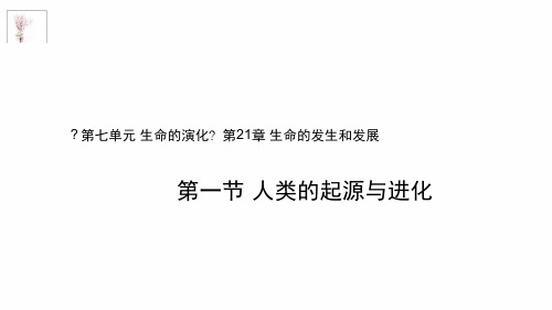 八年级下册生物课件 7213人类的起源与进化北师大版