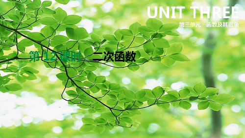 中考数学总复习 第三单元 函数 第12课时 二次函数数学课件